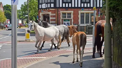 brockenhurst