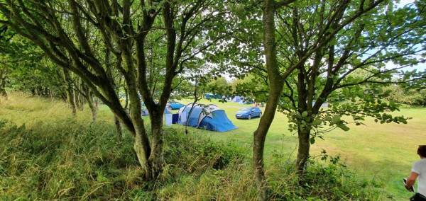 Northumberland forest campsite | 365Camperhire.co.uk Northumberland forest campsite