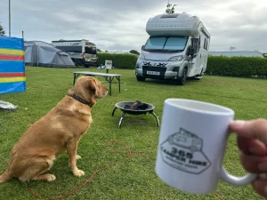 Customer enjoying his dog and Tea in a Motorhome from 365camperhire.co.uk