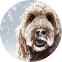 Philip M. profile picture