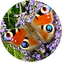 Jacqui M. profile picture